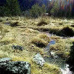 Refugi Quatre Cases * Clot del Moro