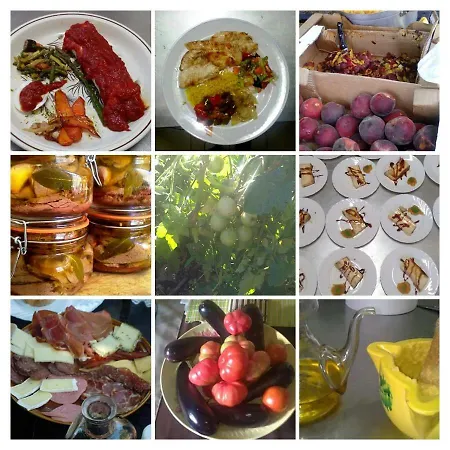 Guest house Refugi Quatre Cases Clot del Moro
